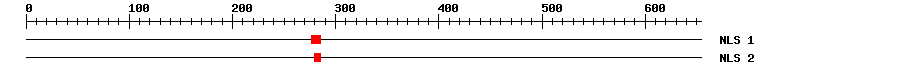 NLS