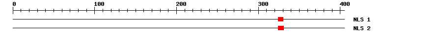 NLS