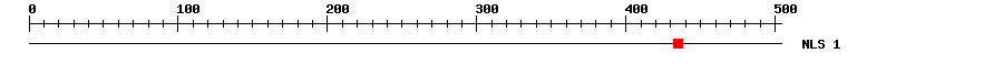 NLS