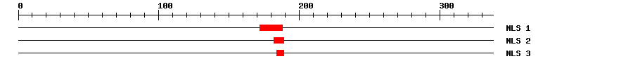 NLS