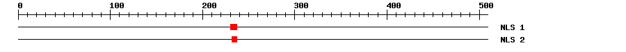 NLS