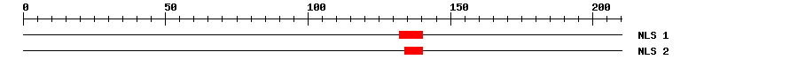 NLS