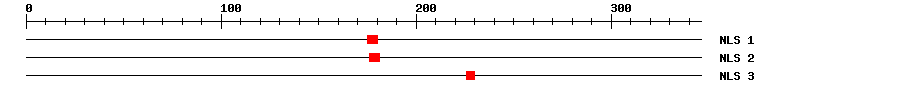 NLS