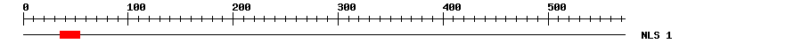 NLS