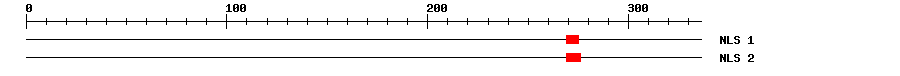 NLS
