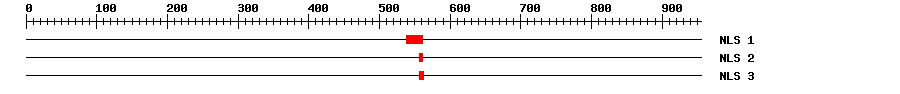 NLS