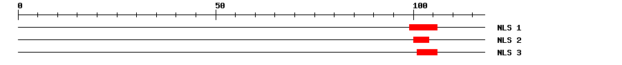 NLS
