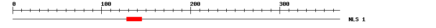 NLS