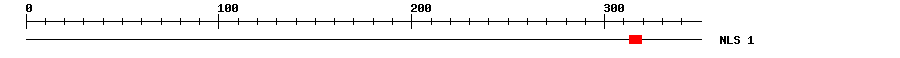 NLS
