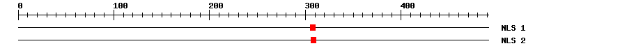 NLS