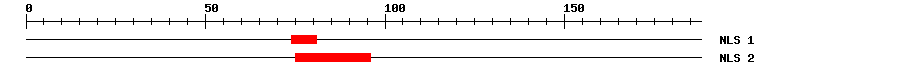 NLS