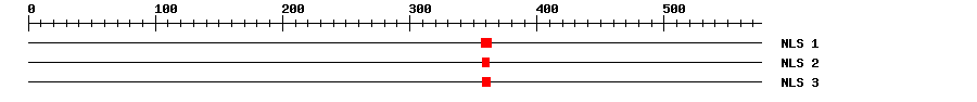 NLS
