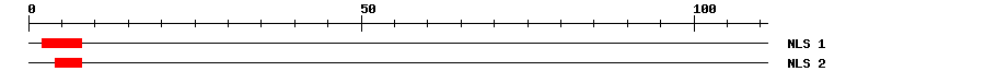 NLS