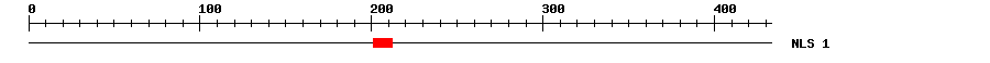 NLS