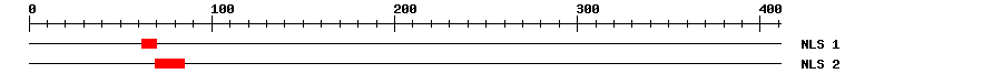 NLS