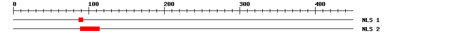NLS