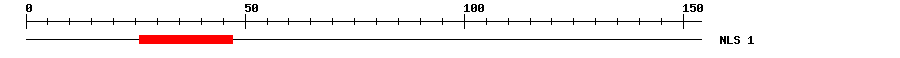 NLS