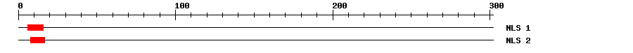 NLS
