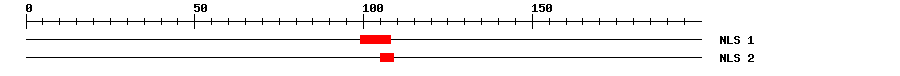NLS