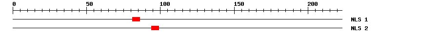 NLS