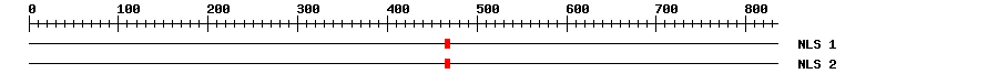 NLS