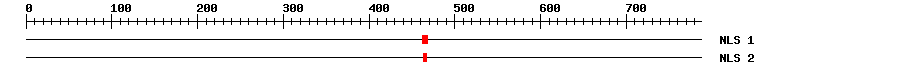 NLS