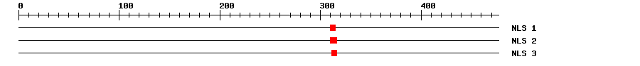 NLS