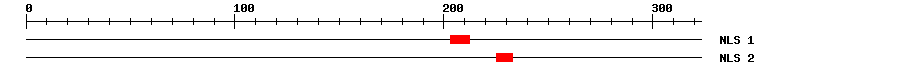 NLS