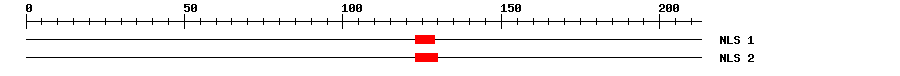 NLS