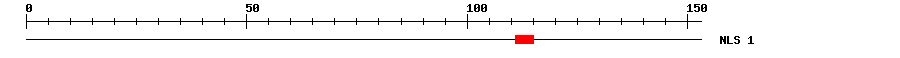 NLS