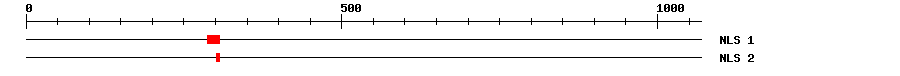 NLS