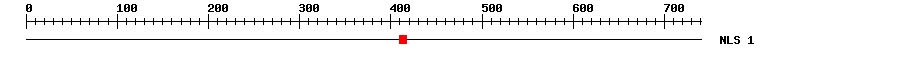 NLS