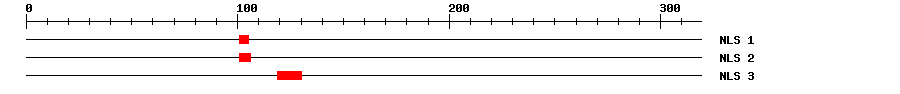 NLS