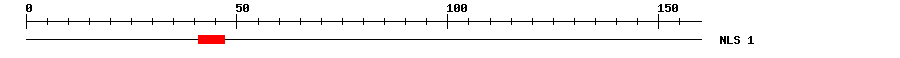 NLS