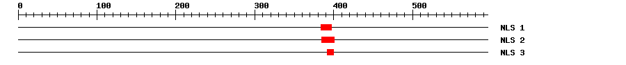 NLS