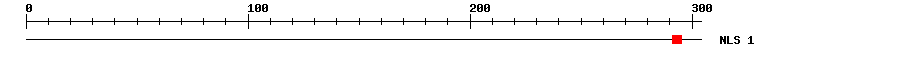 NLS