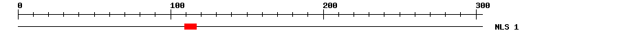 NLS