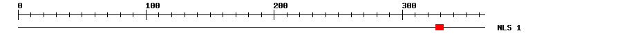 NLS