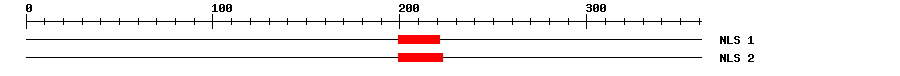 NLS