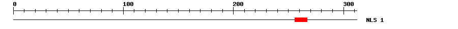 NLS