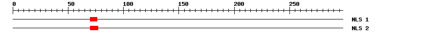 NLS