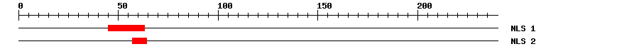NLS