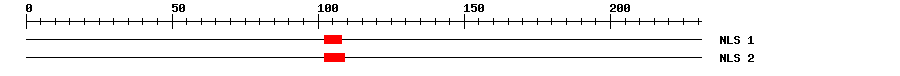 NLS