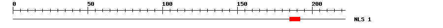 NLS
