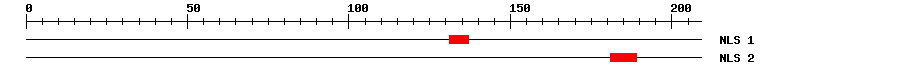 NLS