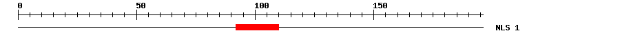 NLS