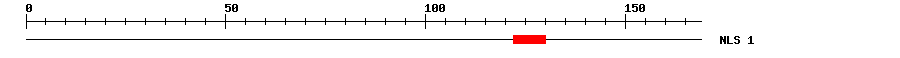 NLS