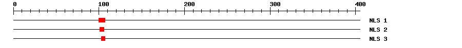 NLS