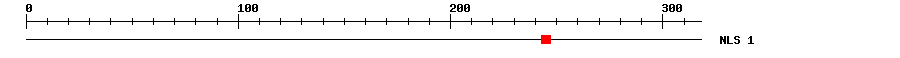 NLS