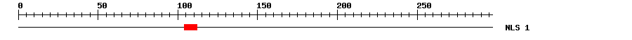 NLS